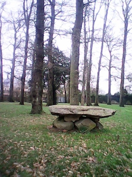 IMG 20121223 104243