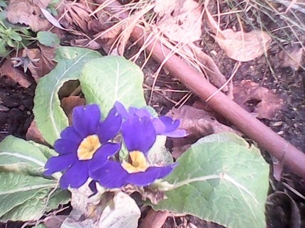 IMG 20121223 151011