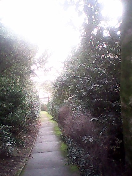 IMG 20121223 151237