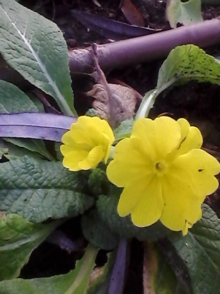 IMG 20121231 141306