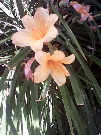IMG 20140619 172849