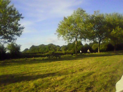IMG 20100103 003032