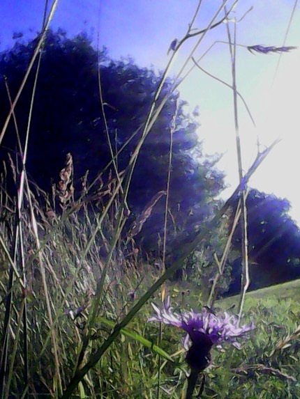 IMG 20100103 003332-2