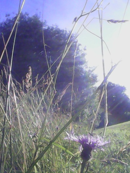 IMG 20100103 003332