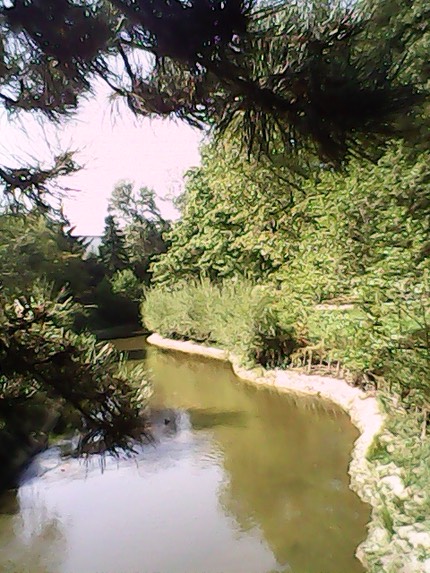 IMG 20120818 164715