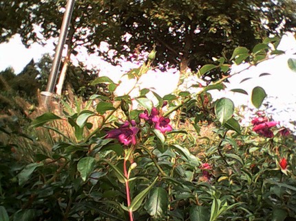 IMG 20121010 174400