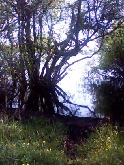 IMG 20130503 234253