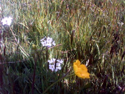 IMG 20130503 234307