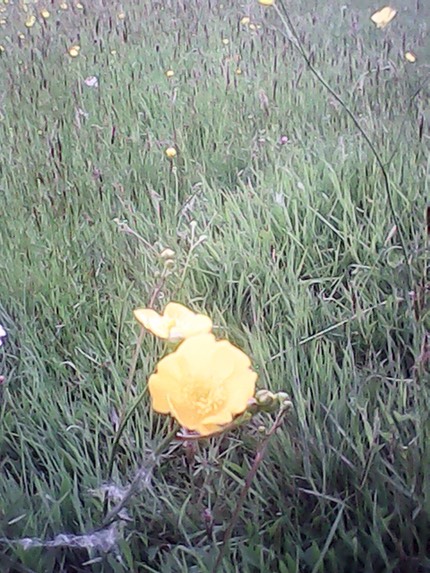 IMG 20130510 1609255