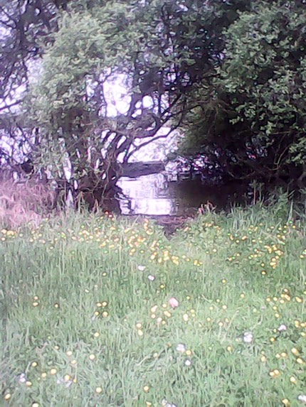 IMG 20130510 161138
