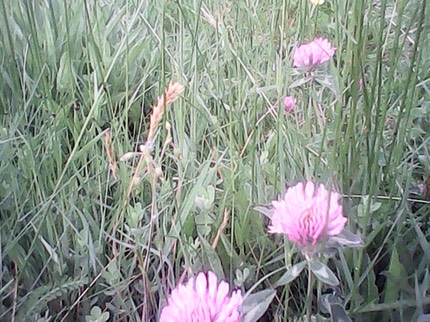 IMG 20130510 161251