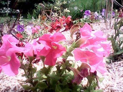 IMG 20130608 143839