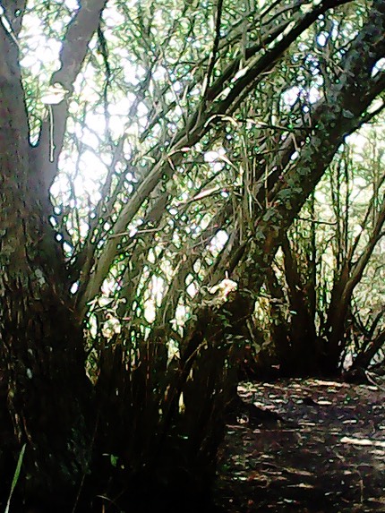 IMG 20130827 121910-2