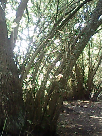 IMG 20130827 121910