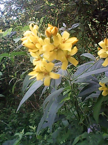 IMG 20130827 121930