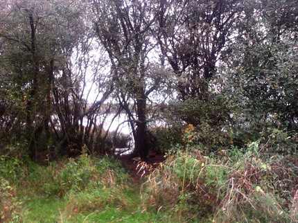 IMG 20131101 111750