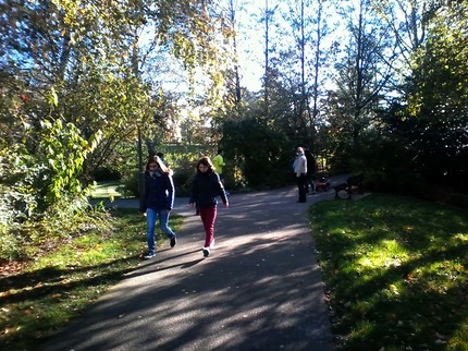 IMG 20131124 113948-2