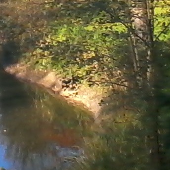 IMG 20131124 114018-D