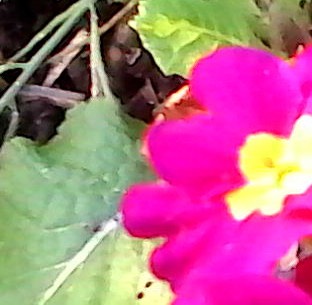 IMG 20131205 134947-2-D