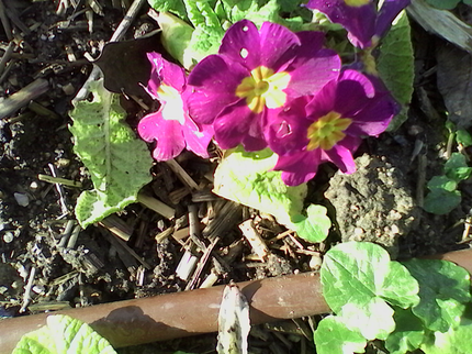 IMG 20140223 112903