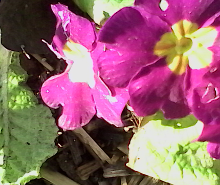 IMG 20140223 112903D