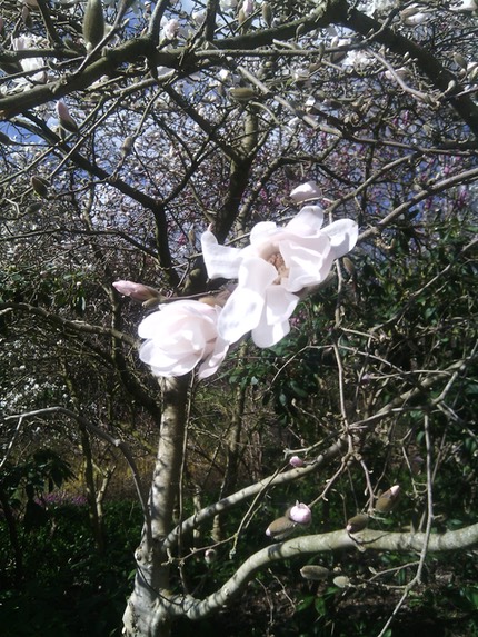 IMG 20140305 123151