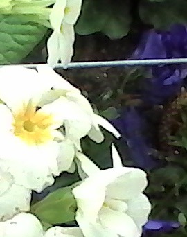 IMG 20140325 120621-D