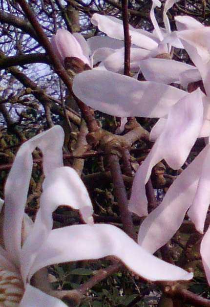 MINIMG 20130402 172159