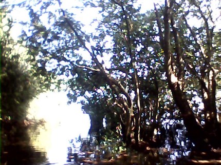 Pic 20130714-006